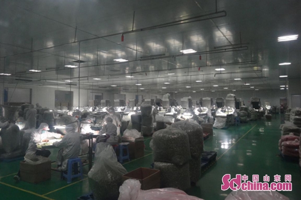 菏泽凯时官方网址脱水食品有限公司：科学防控疫情 有序复工复产